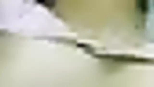 جنس بايسون مع بنت أوزبكية وصاحبتها